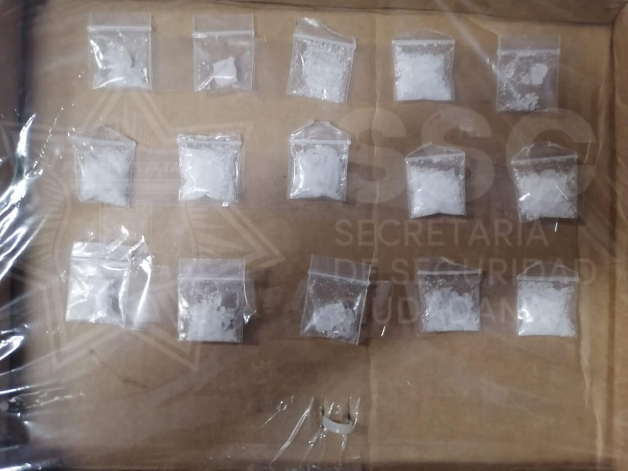 Por robo y posesión de droga, detiene SSC a Romualdo N